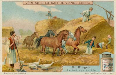 Threshing the Wheat Crop by European School